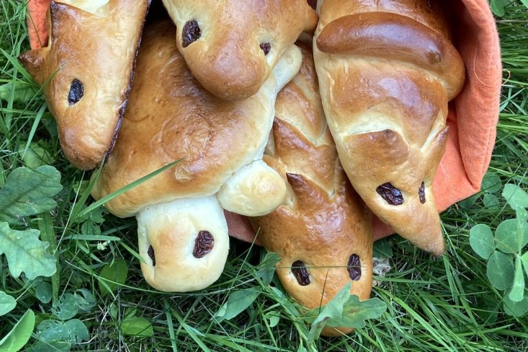 Hefeteigtierchen und Mohnzopf Ein Korb mit verschiedenen Hefeteigtierchen, auf grünem Gras.